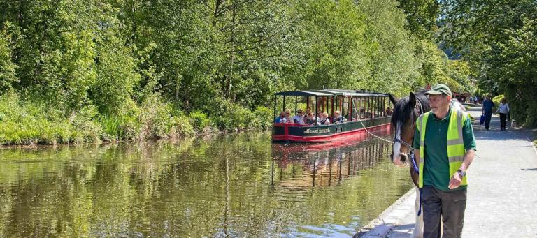 Canal boat with passengers being pulled by horse on Llangollen Canal