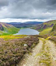Woman walking along rocky footpath with purple heather on the left and a lake at the bottom.