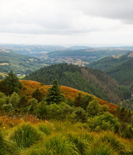 View of wooded valley with autumn trees and grey cloudy sky