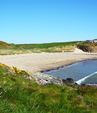 Views across Cable Bay Beach with wildflower covered cliffs