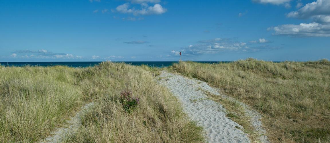Pathway through the grassy dunes at Camber Sands beach in East Sussex