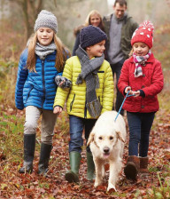 Family walking a dog through autumnal nature