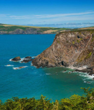 Welsh coastline and cliffs with green ferns in foreground