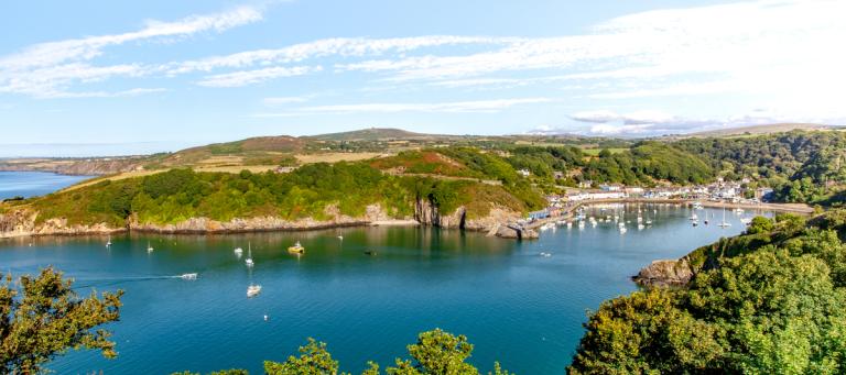 A pretty Pembrokeshire bay surrounded by green trees with sailing boats on the water