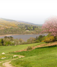 Pretty path through Colvend golf course in Dumfriesshire